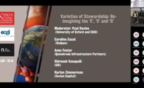 Investor Stewardship in an Uncertain World - Varieties of Stewardship: Re-imagining the ’E’, ’S’ and ’G’