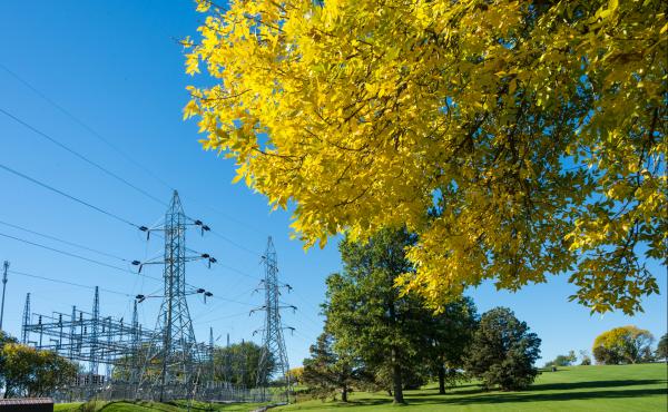 Powerlines