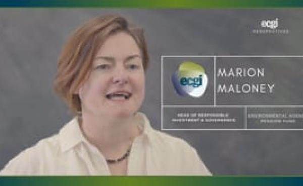 Stewardship Perspectives - Marion Maloney