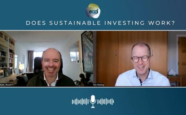 Does Sustainable Investing Work? - Harald Walkate
