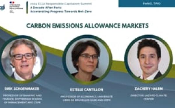 2024 ECGI Summit: Carbon Emissions Allowance Markets