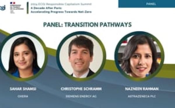 2024 ECGI Summit: Panel Discussion: Transition Pathways