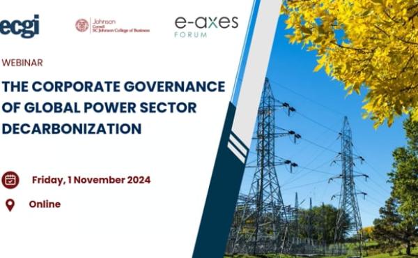 The Corporate Governance of Global Power Sector Decarbonization - Webinar