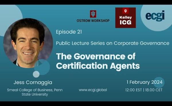 The Governance of Certification Agents