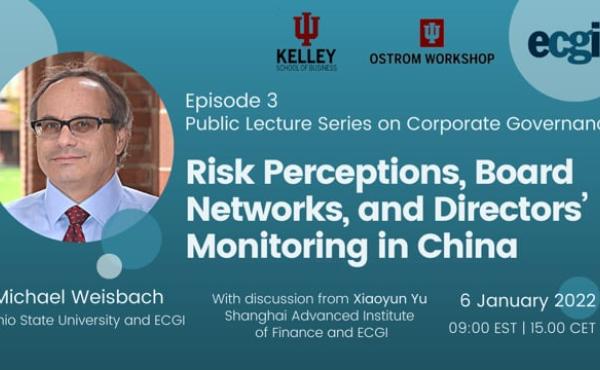 Risk Perceptions, Board Networks, and Directors’ Monitoring in China