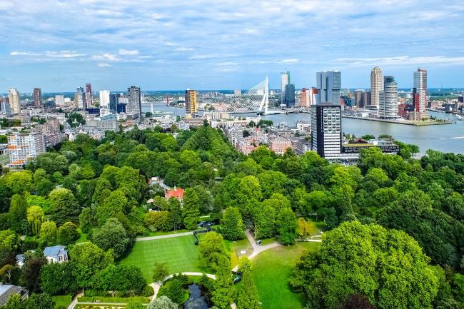 a city view behind a green park