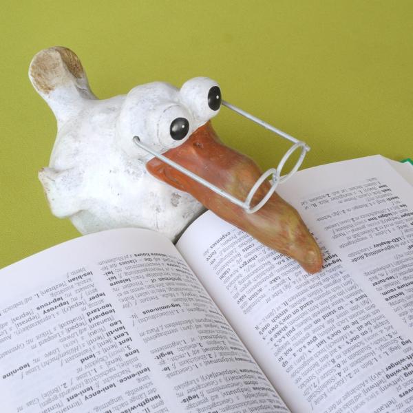 a ceramic bird with glasses reading a dictionary